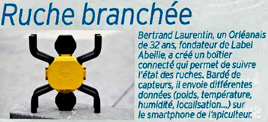 ruche branchée Label Abeillle