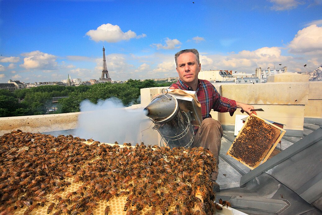 LABEL ABEILLE - Nicolas Géant, apiculteur connecté à Paris