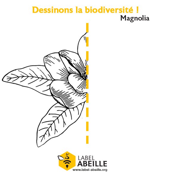 LABEL ABEILLE - Dessinons la biodiversité ! 