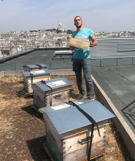 LABEL ABEILLE_recolte BPI France 2019