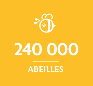 LABEL ABEILLE_Sopexa parraine 240 000 abeilles connectées