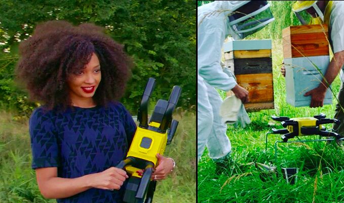 LABEL ABEILLE - parrainer des ruches connectées pour aider et sauver les abeilles et la biodiversité
