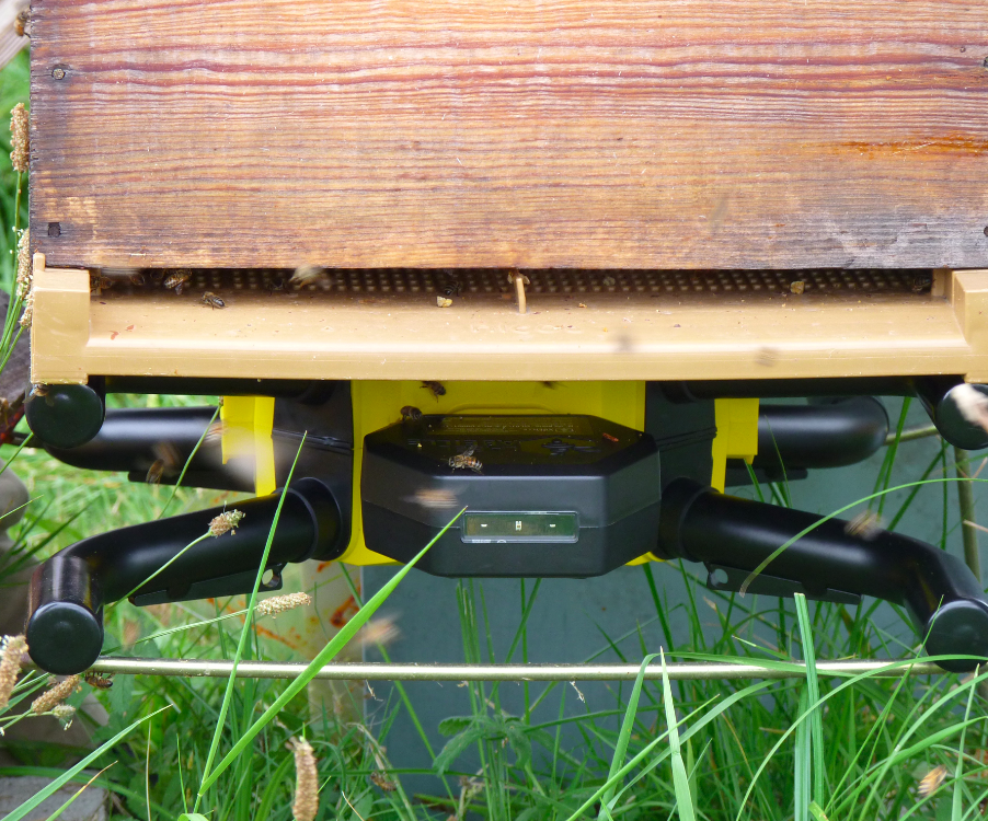 LABEL ABEILLE - ruche connectée développée par Bertrand Laurentin, apiculteur