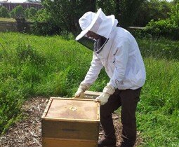 Les abeilles de l'OVSQ sur France 3