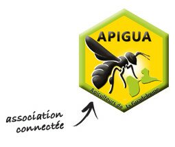 APIGUA, portrait d'une association connectée
