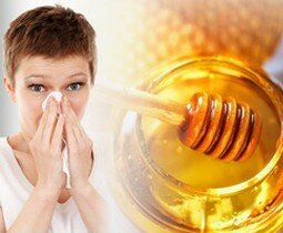 Le miel, potentiel allergène ?